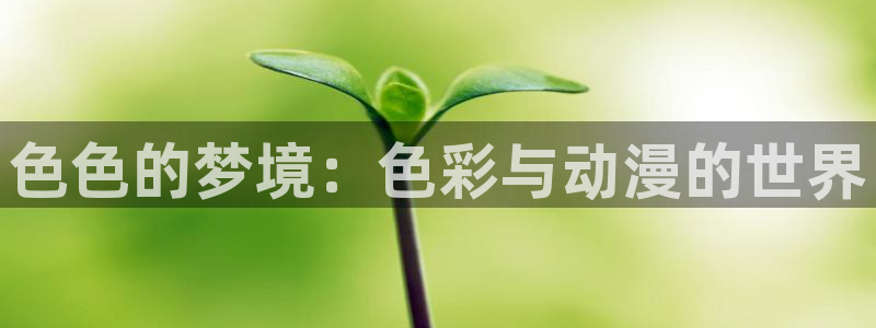 风车动漫岛：色色的梦境：色彩与动漫的世界