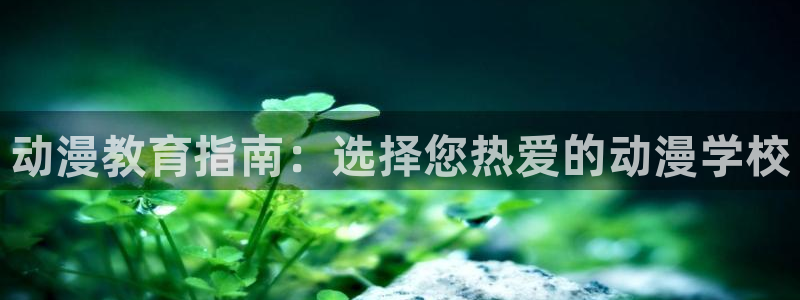 缘之空动漫岛：动漫教育指南：选择您热爱的动漫学校